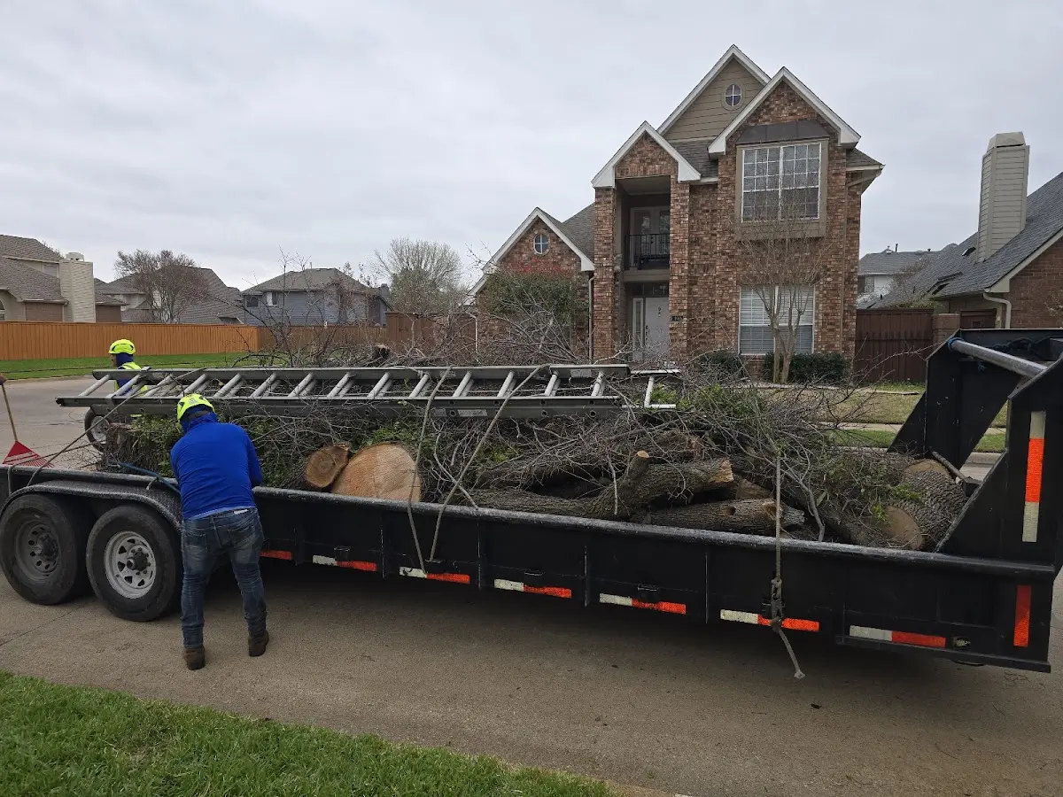 Expert Tree Fertilization with proper safety equipment in Bourneville